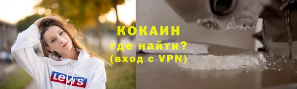 jwh Тайга