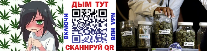 Конопля Amnesia  купить наркотики сайты  Красноуфимск 